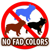 english bulldog colors explained