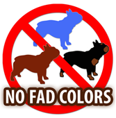 French Bulldog Colour Chart